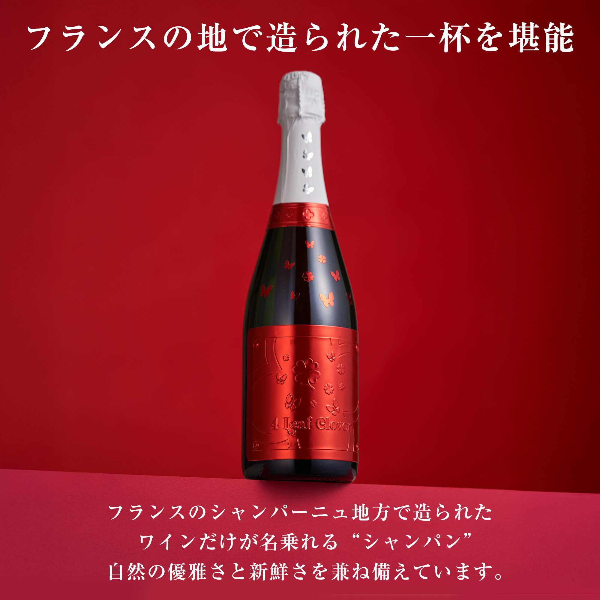 フランスの地で造られた一杯を堪能