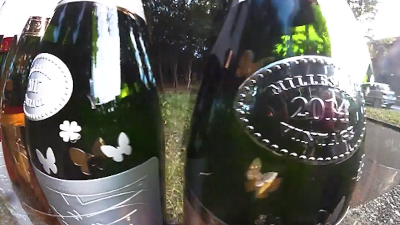 4リーフクローバーショートムービー